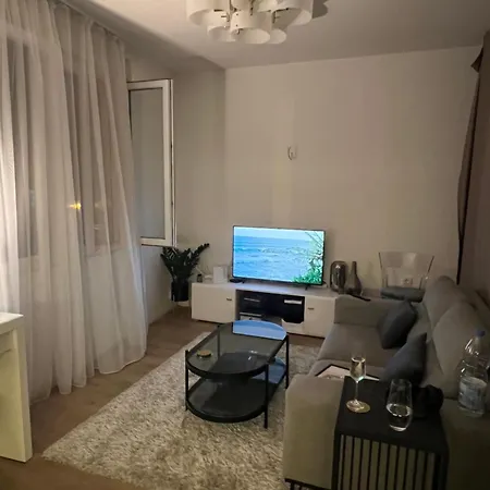 Bon Vivant By Masha Apartman *