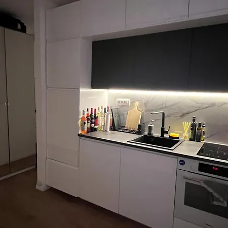 Bon Vivant By Masha 公寓 贝尔格莱德